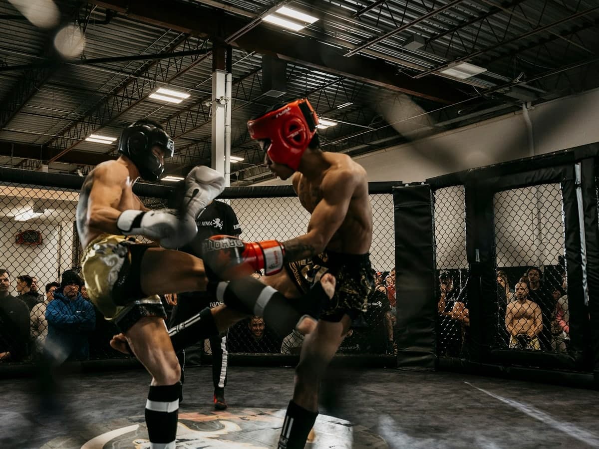 MMA